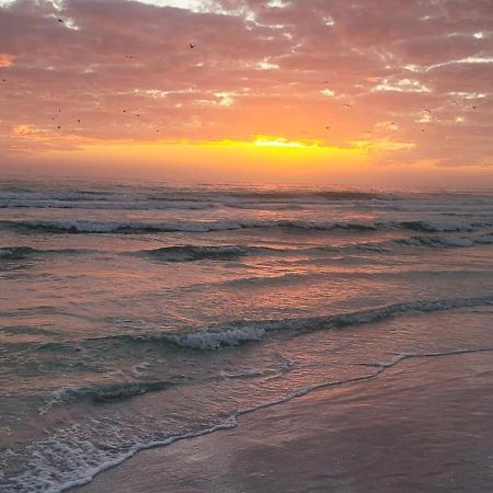 Siesta Key Condo - On The Water ! Экстерьер фото