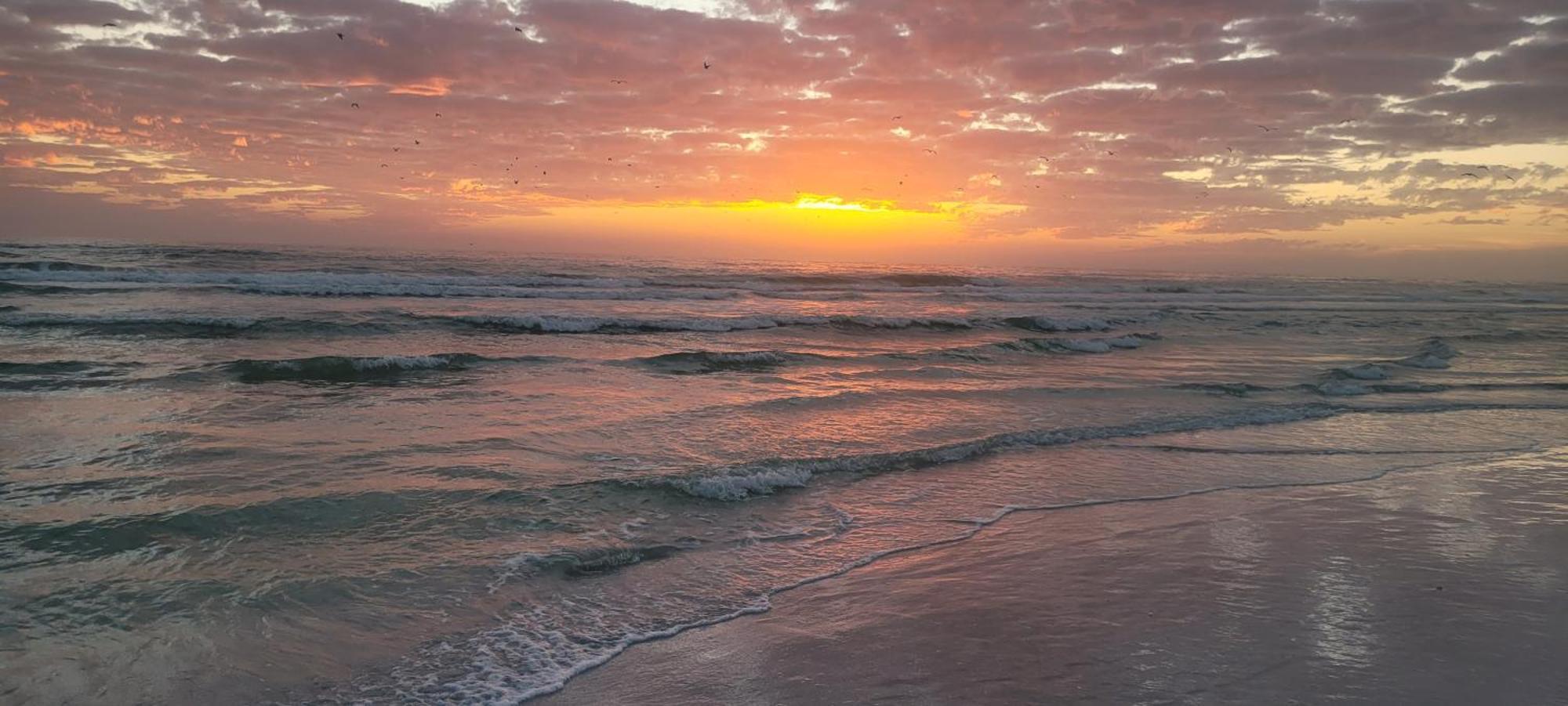 Siesta Key Condo - On The Water ! Экстерьер фото